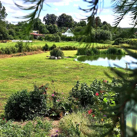 Lawendoweagro Bytów